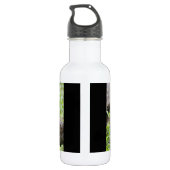 Bouteille D'eau Tortue géante (Dos)