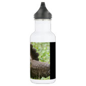 Bouteille D'eau Tortue géante (Droite)