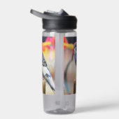 Bouteille D'eau Touche (Droite)