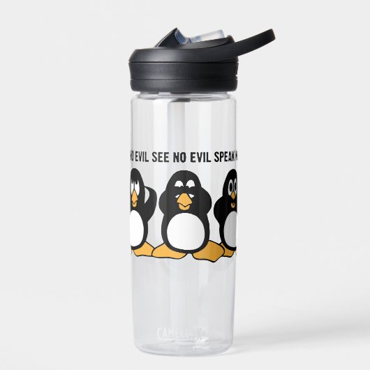 Bouteille D'eau Trois Pingouins Sages CamelBak Eddy (Gauche)