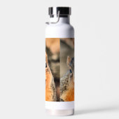 Bouteille D'eau Trop mignon (Plage)