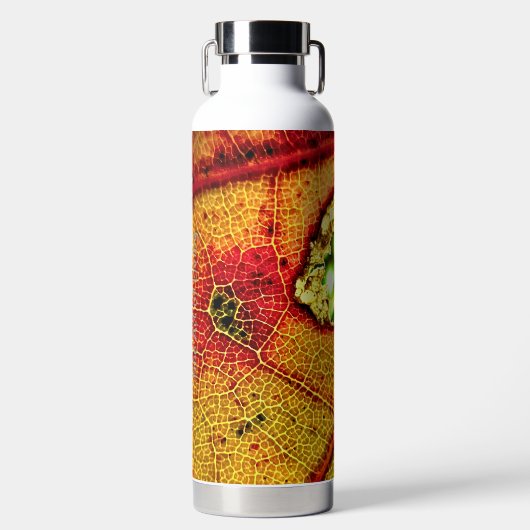 Bouteille D'eau Trou dans l'aile (Avant)