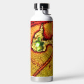 Bouteille D'eau Trou dans l'aile (Droite)