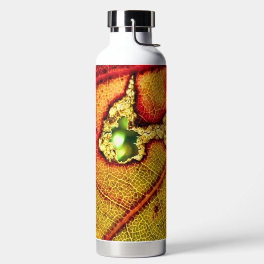 Bouteille D'eau Trou dans l'aile (Droite)