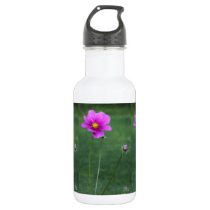 Bouteille D'eau Un aster mexicain