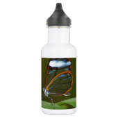 Bouteille D'eau "Un jour clair" Conception de papillon en verre (Droite)