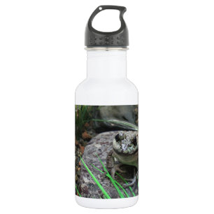 Bouteille D'eau Une grenouille heureuse