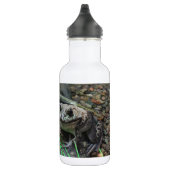 Bouteille D'eau Une grenouille heureuse (Droite)