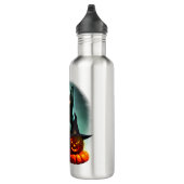 Bouteille D'eau Vampire Chat et Assistant Citrouille Halloween Sur (Droite)