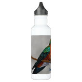 Bouteille D'eau Vibrant Allen’s Hummingbird Painting (Gauche)