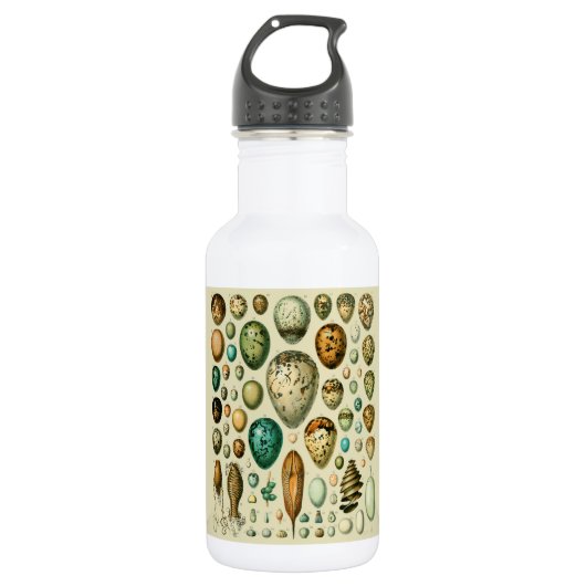 Bouteille D'eau Vintage Bird Eggs French Fish Egg (Devant)