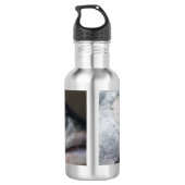 Bouteille D'eau Visage Saumon argenté (Dos)