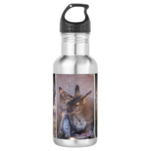 Bouteille d'eau Wallaby
