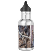 Bouteille d'eau Wallaby (Gauche)