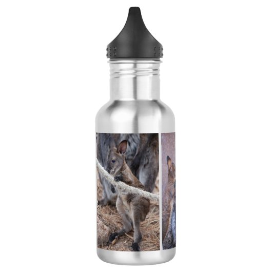 Bouteille d'eau Wallaby (Gauche)