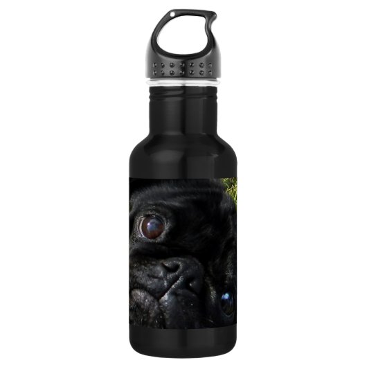 Bouteille D'eau yeux de noir-carlin (Devant)