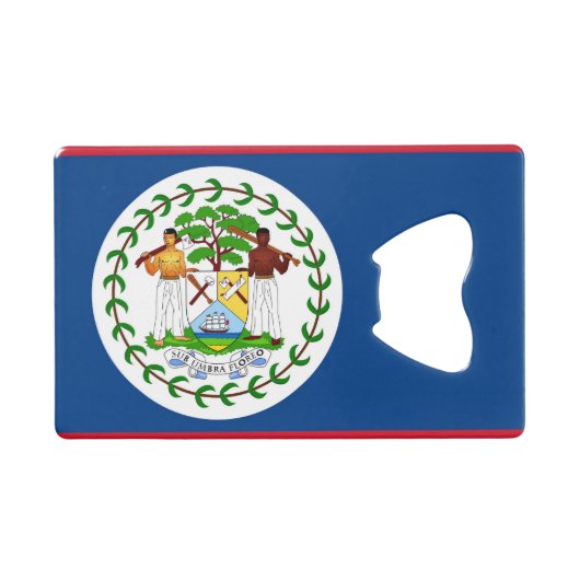 Bouteille en acier avec drapeau de Belize (Devant (Horizontal))