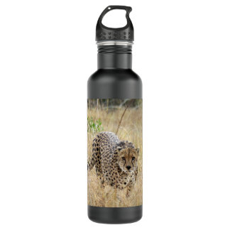 Bouteille en acier inoxydable Cheetah