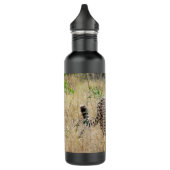 Bouteille en acier inoxydable Cheetah (Gauche)