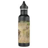 Bouteille en acier inoxydable Cheetah (Droite)