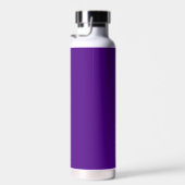 Bouteille en acier inoxydable isolée (Plage)