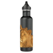 Bouteille en acier inoxydable Lion Pair (Droite)