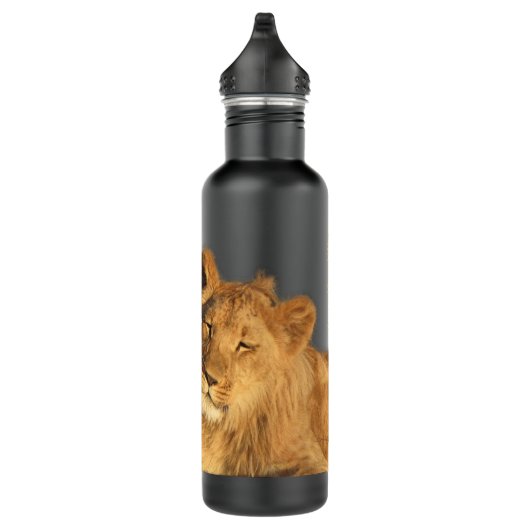 Bouteille en acier inoxydable Lion Pair (Droite)
