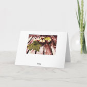 Bouteilles de vin et feuille de raisin merci (Dos)