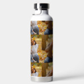 Bouteilles d'Eau (Droite)