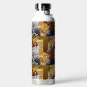 Bouteilles d'Eau (Droite)