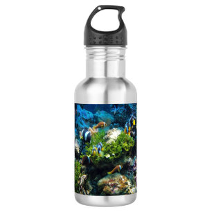 Bouteilles d'eau de Coral Reef