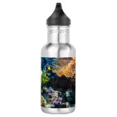 Bouteilles d'eau de Coral Reef (Droite)