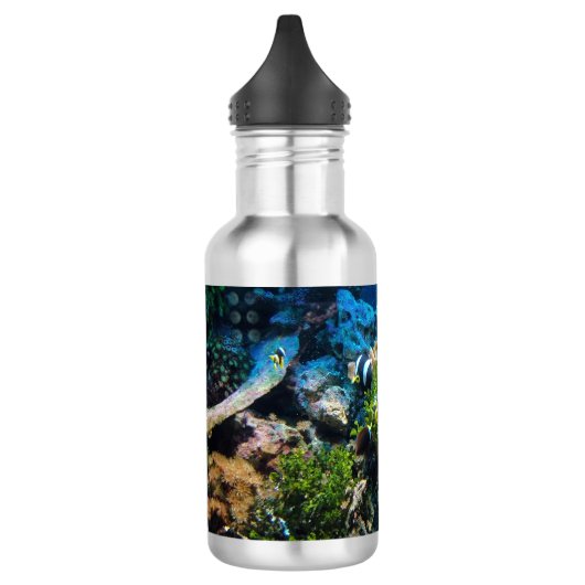 Bouteilles d'eau de Coral Reef (Gauche)