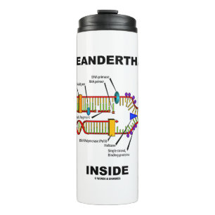 Bouteilles Isothermes 2,5 % ADN néandertal à l'intérieur de la réplicati