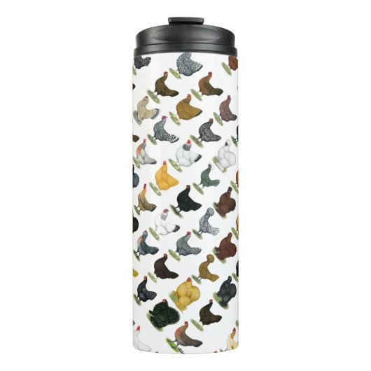 Bouteilles Isothermes 49 poules de poulet (Devant)