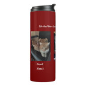 Bouteilles Isothermes 6 Cats Photo And Name ,Keepsake,Create You Own, (Tourné sur la gauche)