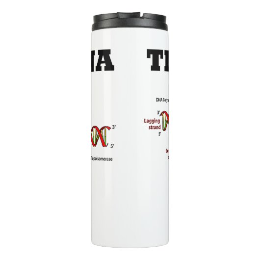 Bouteilles Isothermes ADN tribal Réplication de l'ADN Bio-anthropologie (Dos)