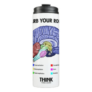 Bouteilles Isothermes Advice Disturb Your Routine Think Brain Anatomy