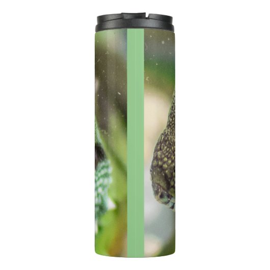 Bouteilles Isothermes Agama, lézard (Dos)