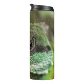 Bouteilles Isothermes Agama, lézard (Tourné sur la droite)