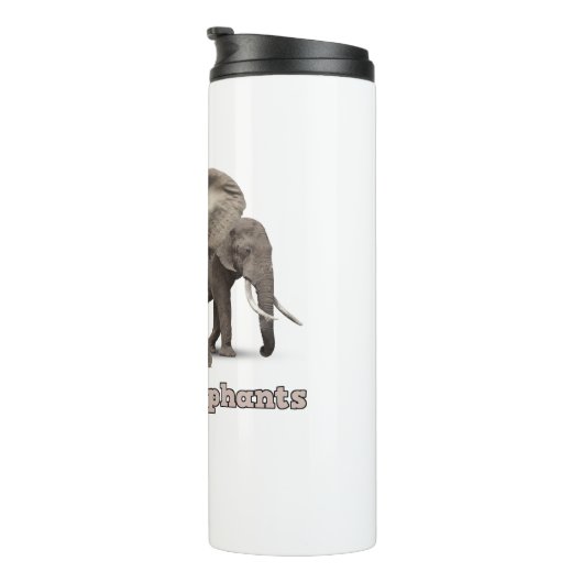 Bouteilles Isothermes Aiguille Thermol D'Un Éléphant Africain (Tourné sur la droite)