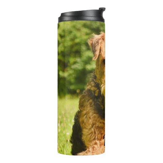 Bouteilles Isothermes Airedale Terrier Chien chiot (Tourné sur la gauche)