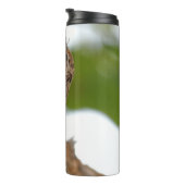 Bouteilles Isothermes American Treecreeper avec bug (Tourné sur la droite)