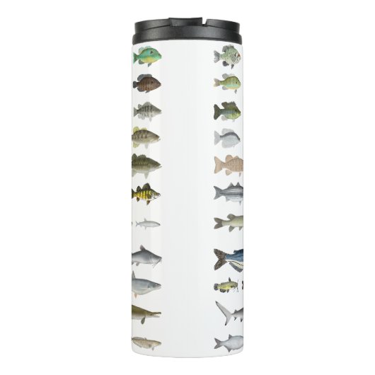 Bouteilles Isothermes Amérique du Nord Groupe de poissons d'eau douce (Dos)