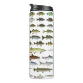 Bouteilles Isothermes Amérique du Nord Groupe de poissons d'eau douce (Tourné sur la droite)