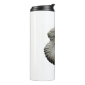 Bouteilles Isothermes ammonite (Tourné sur la gauche)