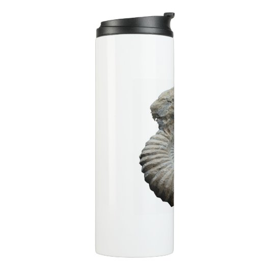 Bouteilles Isothermes ammonite (Tourné sur la gauche)