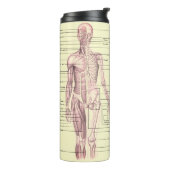 Bouteilles Isothermes Anatomie humaine Diagramme éducatif Médicale (Tourné sur la gauche)