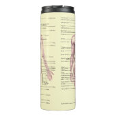 Bouteilles Isothermes Anatomie humaine Diagramme éducatif Médicale (Dos)