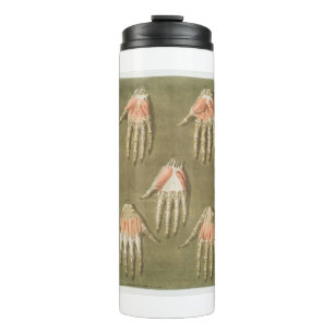 BOUTEILLES ISOTHERMES ANATOMIE SKELETON HANES MAIN BONES MUSCLE ANATOMIE